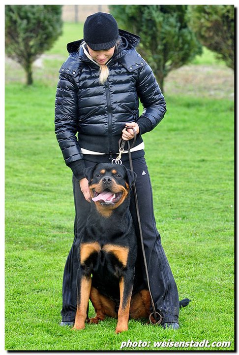 Excalibur vom Quercus Wald Excalibur vom Quercus Wal